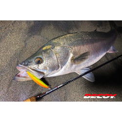 Decoy EX Snap Fishing Connector