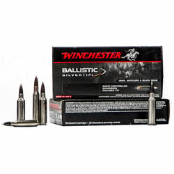 Winchester Ballistic Silvertip .270 Win 130gr