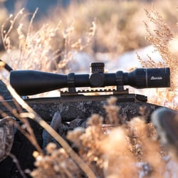Burris Signature HD 3-15x44mm Illuminated E3 MOA Scope