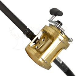 Shimano Status Bluewater Game Rod 5'6" 24-37kg Bent Butt Roller Tip + Shimano Tiagra 80W Reel