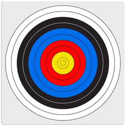 Stealth Cardboard Archery Target 75x75cm