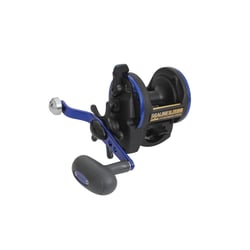 Daiwa Sealine Overhead Reel