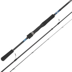 Daiwa 21 TD Tierra Rod