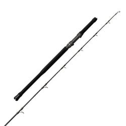 TICA Tuna Star Rod 8' 2-Piece 15kg 50gm - 190gm