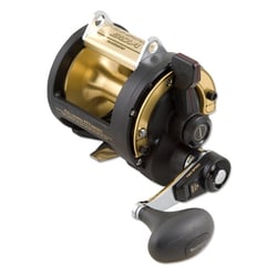 Shimano Triton TLD 2 Speed Fishing Reel