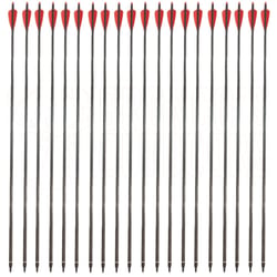 Stealth Carbon Arrows 45gr 20 Arrows