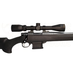 Howa Mini Blued 20" Black .223 Rem + GamePro 4-12x40 Scope