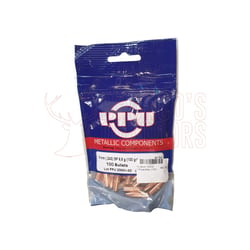 PPU 6mm 100gr SP Projectile