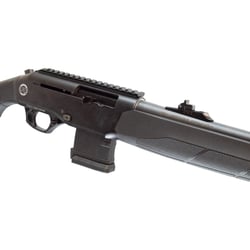 Ranger Push Button .223 Blued Synthetic 18.5"