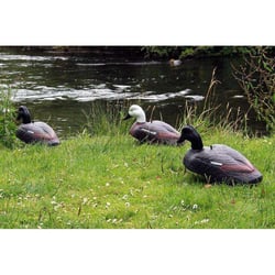 Outdoor Outfitters Foam Paradise Shell Decoy 12 Pack + Lite Stakes