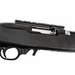 Ruger 10/22 Take-Down Lite Blued .22 LR