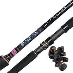 Penn Ocean Assassin 511HOH Rod 5'1" PE:5-8 + Penn Fathom 30LD 2-Speed Lever Drag Reel