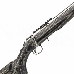 Ruger American Rimfire Target Stainless .22 LR