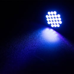 Black Magic LED UV Torch