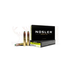 Nosler .300 Blackout 220gr Ballistic Tip Hunting 20 Rounds
