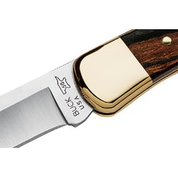 Buck 110 Folding Hunter