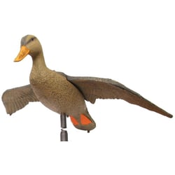Outdoor Outfitters Flying Mallard Duck Decoy Hen 25" 12 Pack
