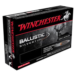Winchester Ballistic Silvertip .243 95gr