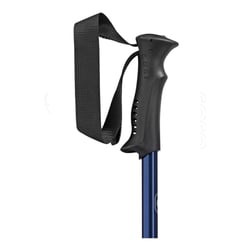 Leki Eagle Walking Poles Pair