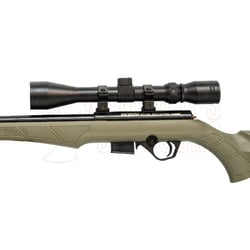 Rossi 8122M Green Stock .22 WMR + 3-9x40 Scope + Suppressor