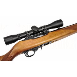 Ruger 10/22 Sporter Blued Wood .22 LR Rifle + 4x32mm Scope + Suppressor