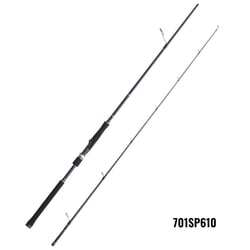 Shimano Shadow X Fishing Rod