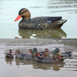 Game on Full Size Mallard Decoy 12-Pack