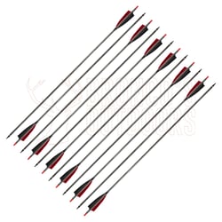 Stealth Carbon Arrows 40gr Heads 12 Arrows