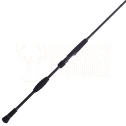 Penn Battalion II Slow Pitch Overhead Rod 6'8" PE:3 + Penn Fathom II Star Drag Reel 8XN