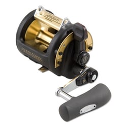 Shimano Triton TLD 2 Speed Fishing Reel