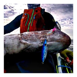 Catch the Boss Slow Jig 100gm