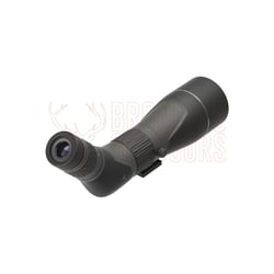 Leupold SX-2 Alpine HD Gen2 20-60x80 Angled Spotting Scope
