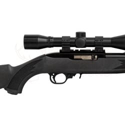 Ruger 10/22 Blued Synthetic .22 LR Rifle + 4x40 Scope + Suppressor