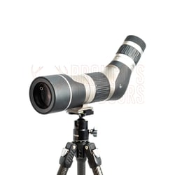 Leupold SX-2 Alpine HD Gen2 20-60x60mm Angled Spotting Scope + Mountain Seeker Tripod