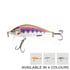 Rainbow Trout