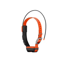 Garmin Alpha T 20 Dog Collar