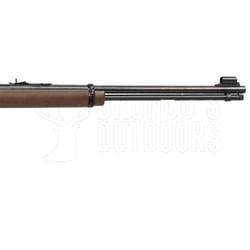 Henry H001M Blued .22 WMR