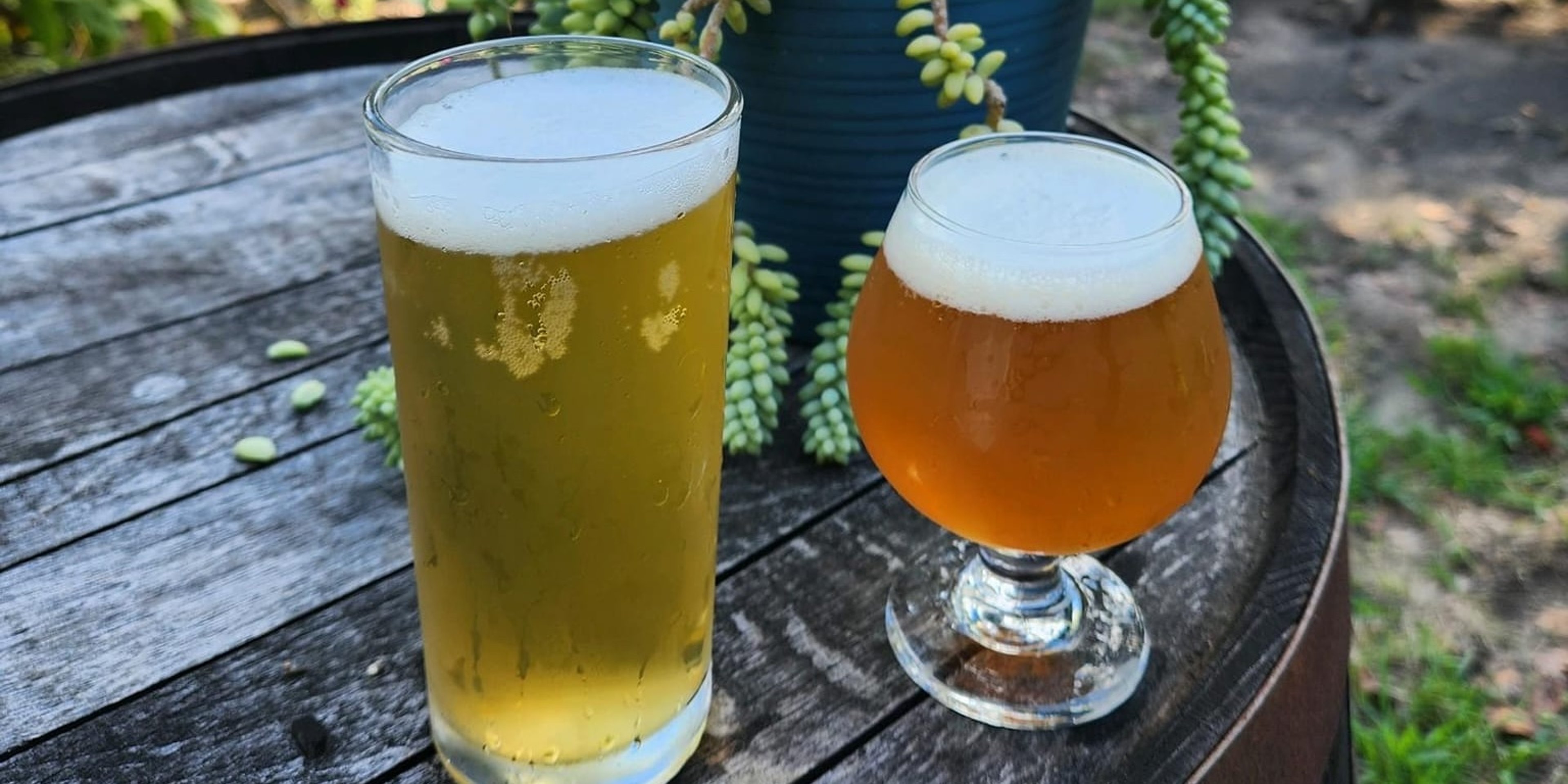 Image for Eclipse Brewing