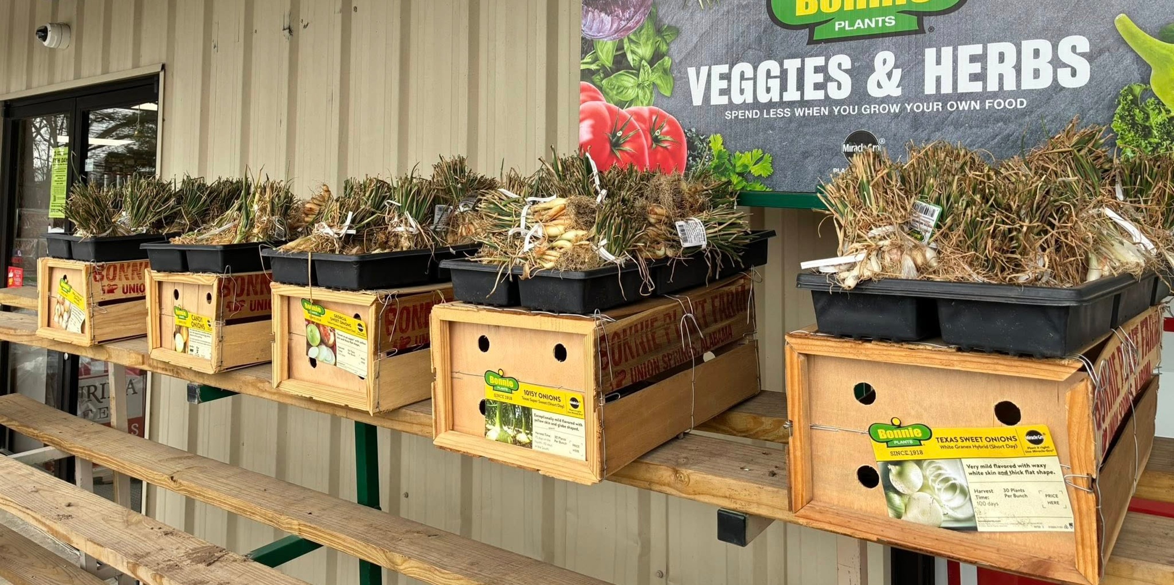 Image for North Alabama Co-Op