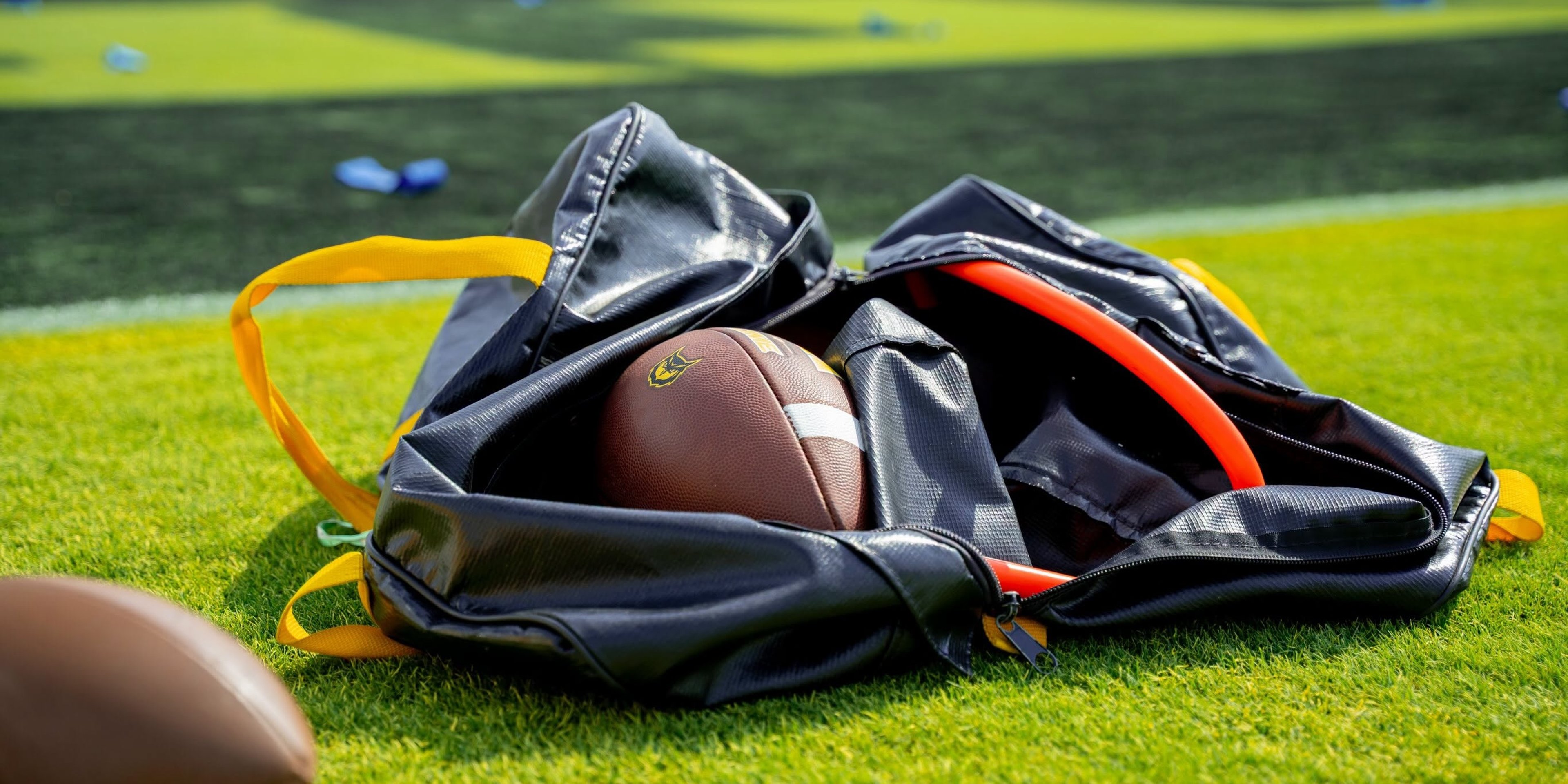 Image for Kennesaw State Athletics