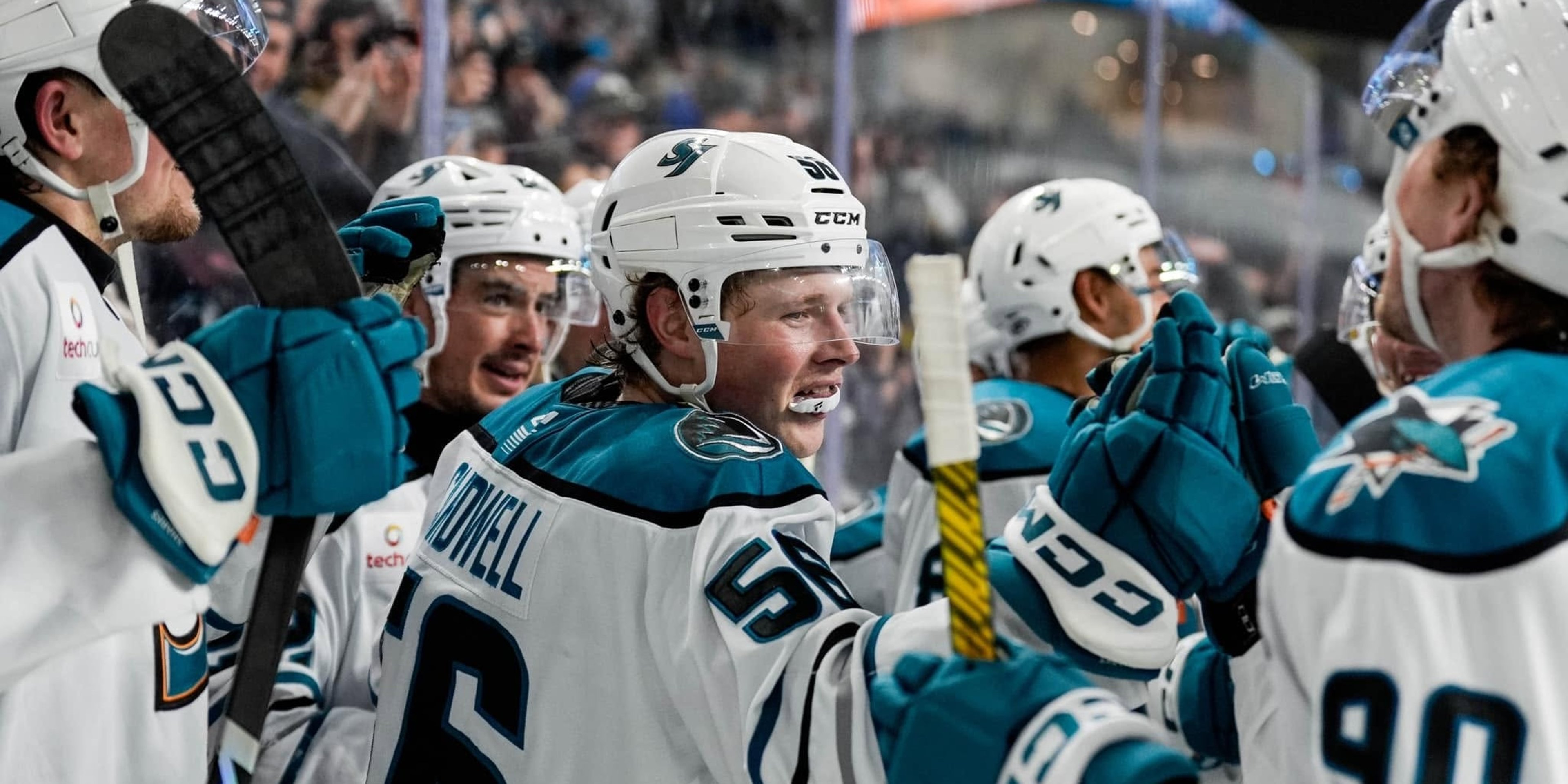 Image for San Jose Barracuda 