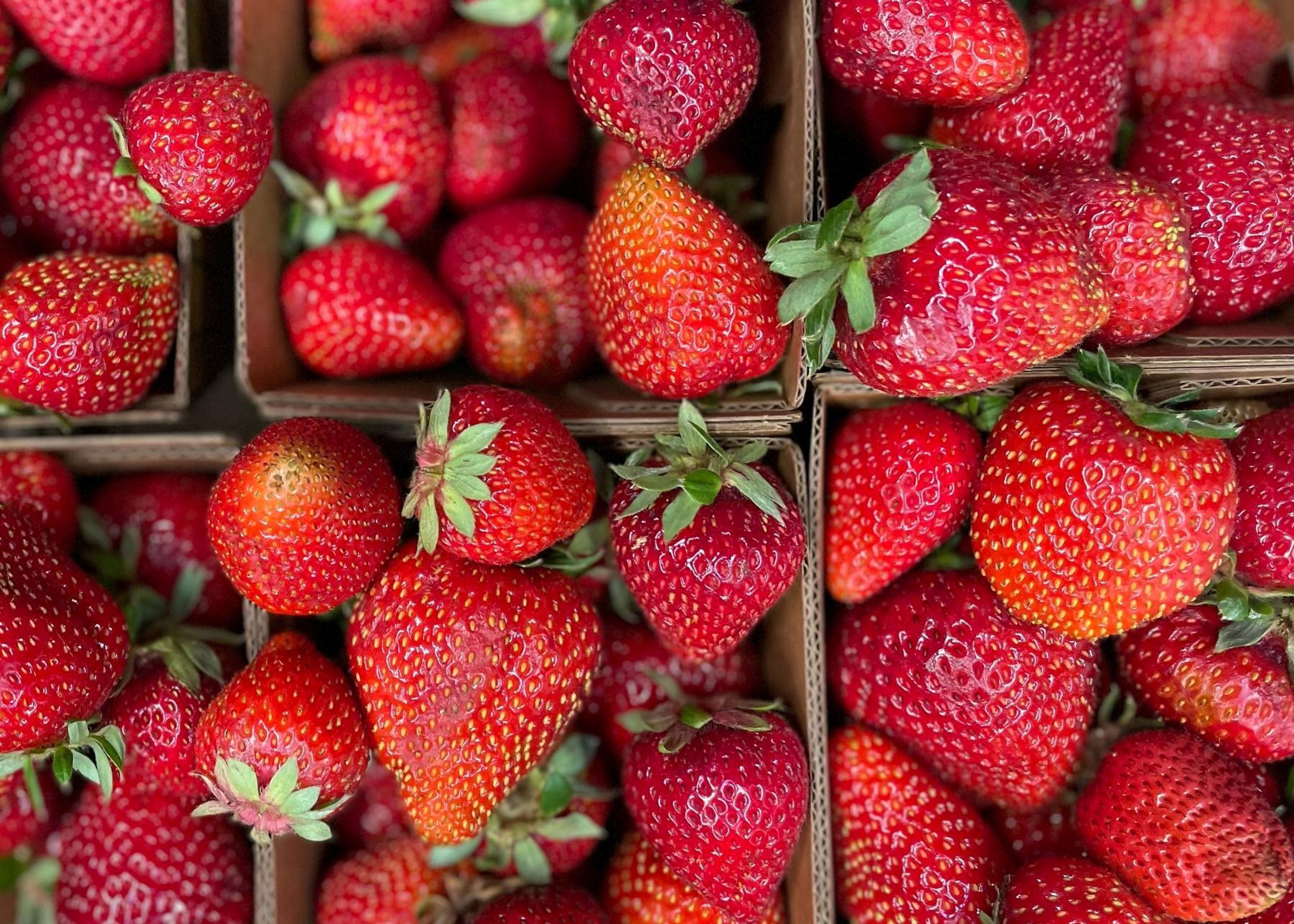 Image for Rainbow Grocery Cooperative