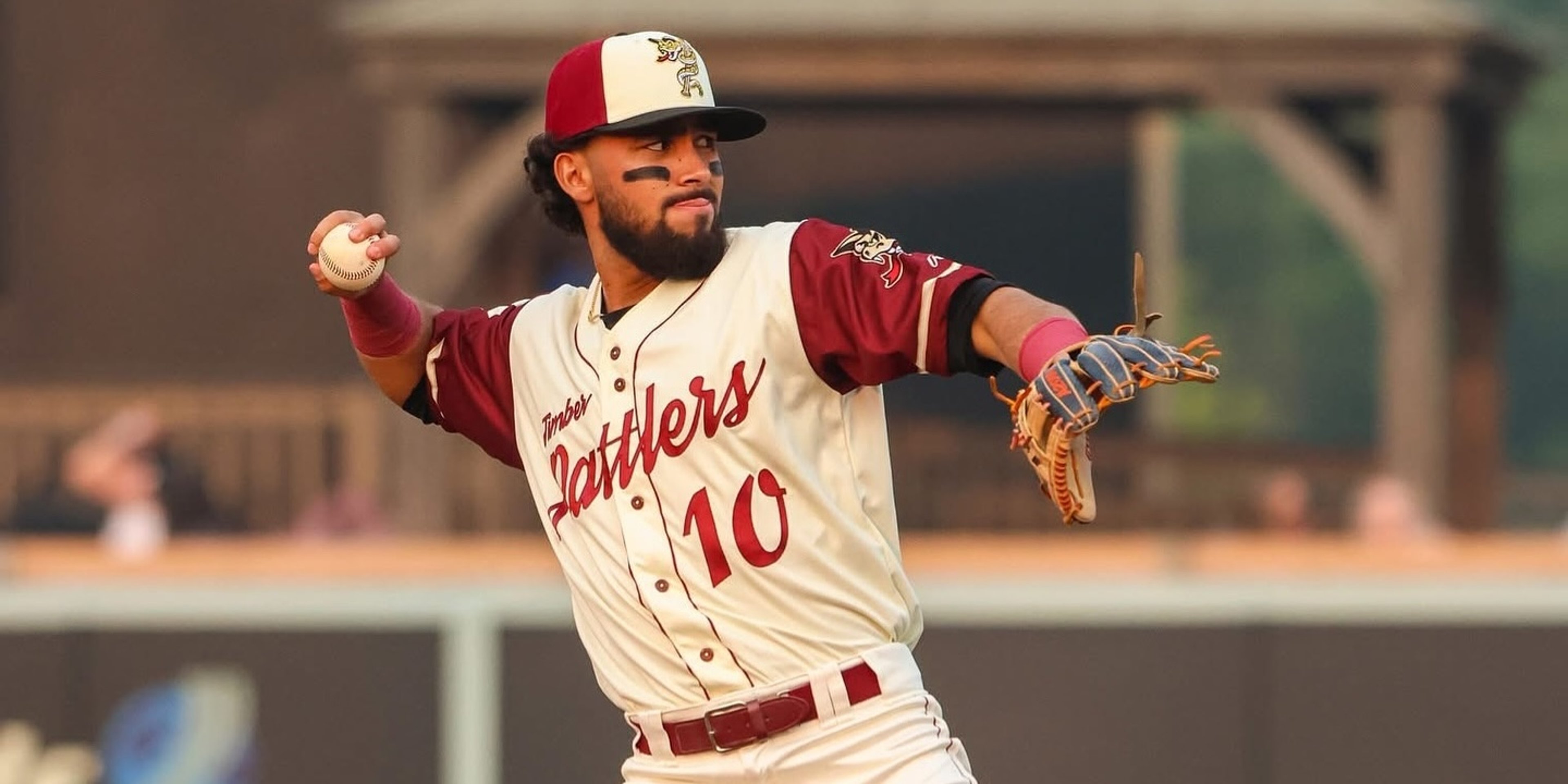 Image for Wisconsin Timber Rattlers