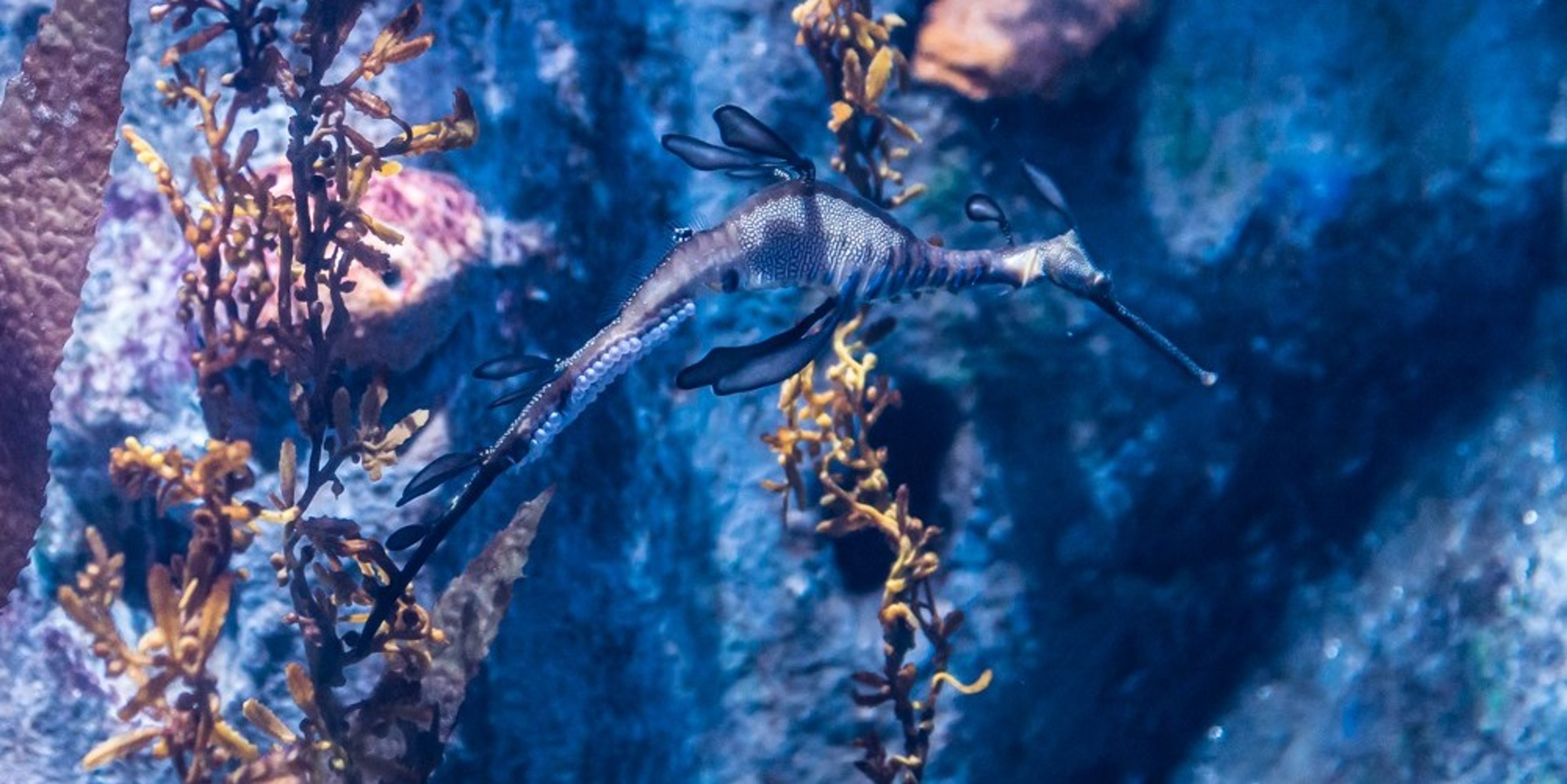 Image for Greater Cleveland Aquarium