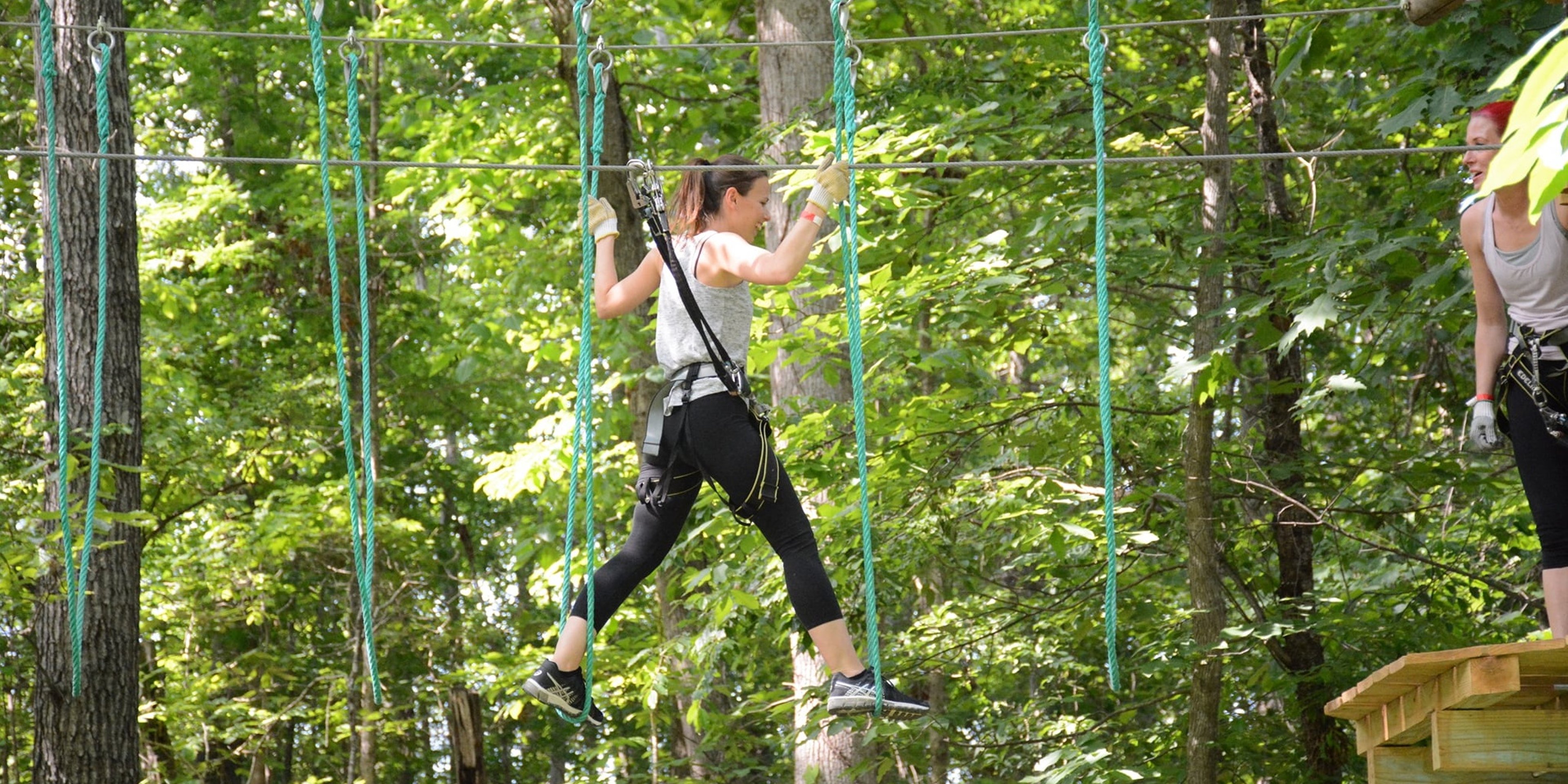 Image for Treetop Quest (Georgia)