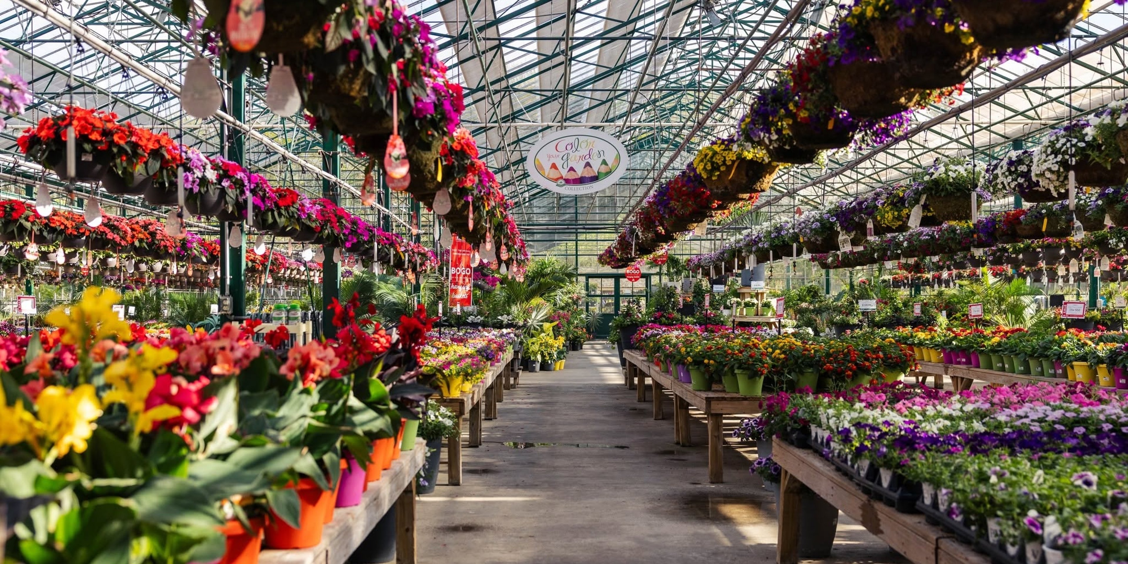 Image for Petitti Garden Centers