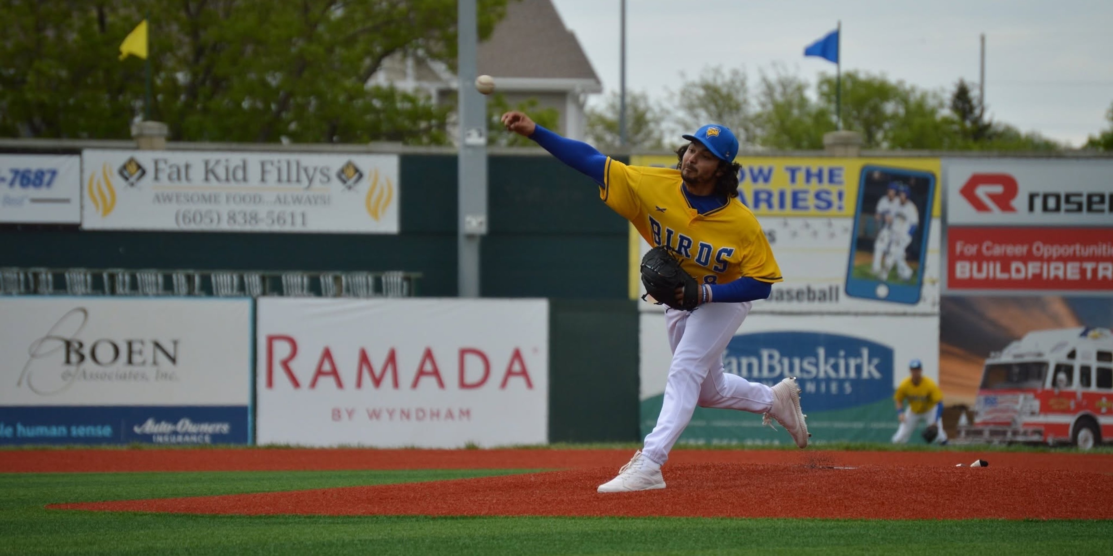 Image for Sioux Falls Canaries