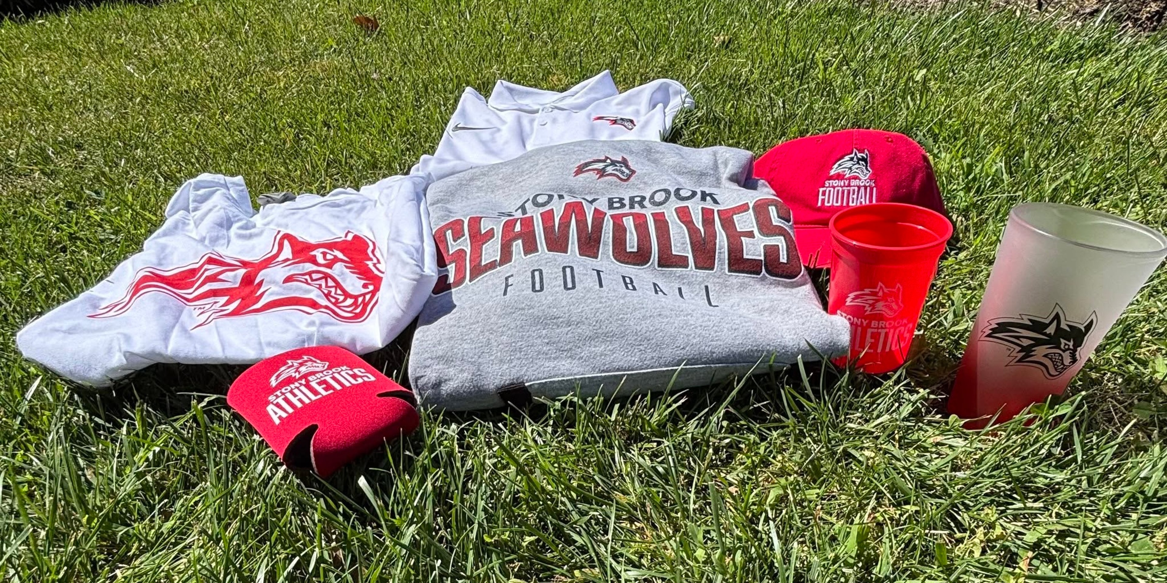 Image for Stony Brook Athletics