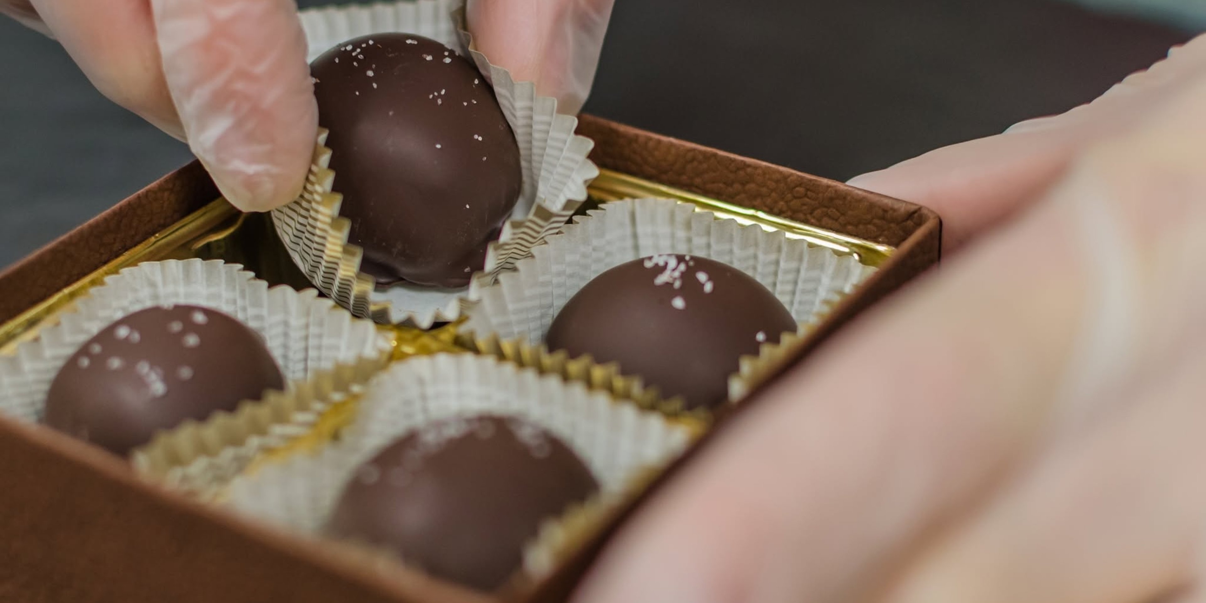 Image for Laughing Gull Chocolates