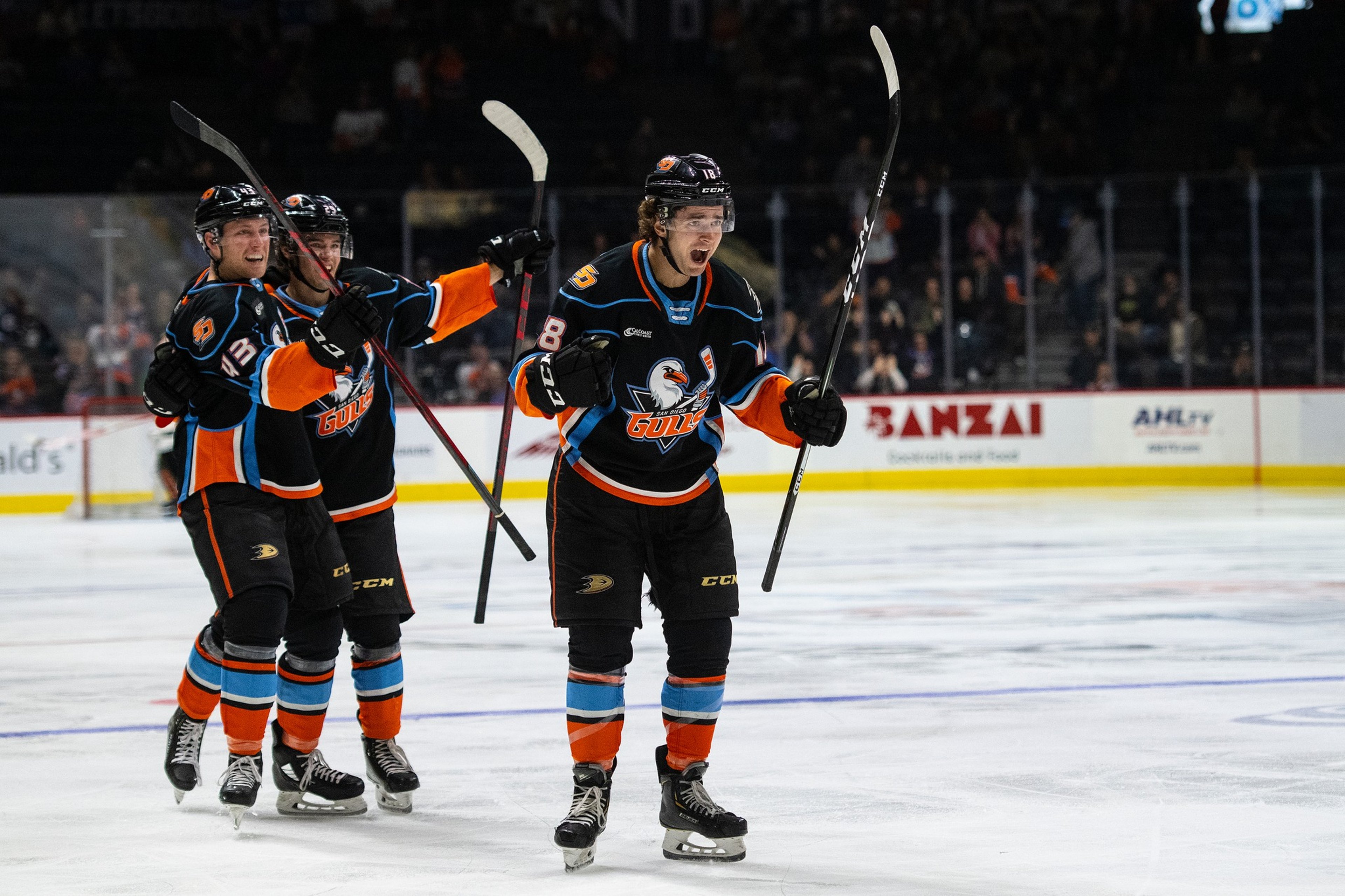 Image for San Diego Gulls